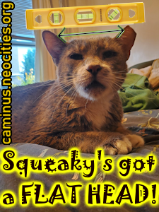 I am a Flat Headed Squeaky.